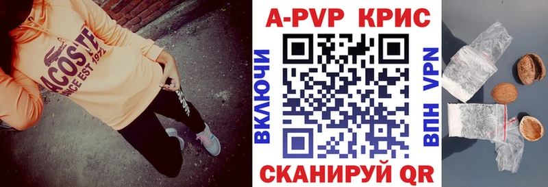 Alfa_PVP СК КРИС Щёкино