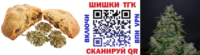 купить наркотики цена  Щёкино  Cannafood конопля 