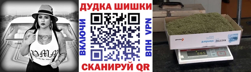 Конопля план  Щёкино 